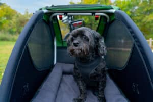 Tailwagon met passagier
