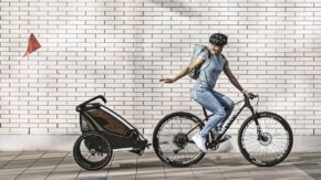 thule-chariot-lite-2-vintage-groen-7 thule-chariot-lite-2-vintage-groen-7