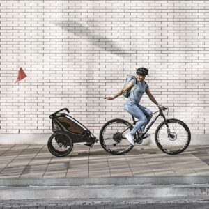 thule-chariot-lite-2-vintage-groen-7
