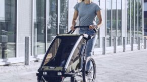thule-chariot-lite-2-vintage-groen-8 thule-chariot-lite-2-vintage-groen-8