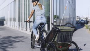 thule-chariot-lite-2-vintage-groen-9 thule-chariot-lite-2-vintage-groen-9