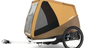 Croozer_Dog_Tammo_Sundown_yellow