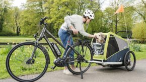 Dog-XL-achter-fiets Dog-XL-achter-fiets