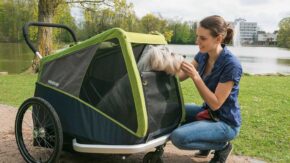 Stroller-kit-L-sfeer