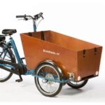 CargoTrike Classic Narrow Steps