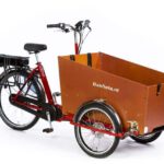 CargoTrike Classic Wide Steps