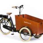 CargoTrike Cruiser Wide Steps