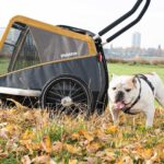 der-hunde-buggy-vom-fahrradanhaenger-hersteller-croozer-aus-koeln-ist-ein-super-begleiter-fuer-alle-jahreszeiten