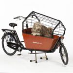 Hondenbench voor cargobike long