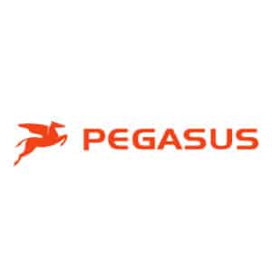 pegasus-fietskar-online-kopen