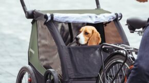 thule-courier-vintage-green-7 thule-courier-vintage-green-7