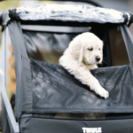 Thule Courier Dog Trailer Kit 5