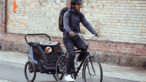 Thule Courier Dog Trailer Kit 6 Thule Courier Dog Trailer Kit 6