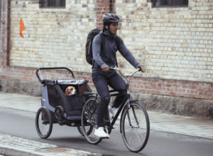 Thule Courier Dog Trailer Kit 6