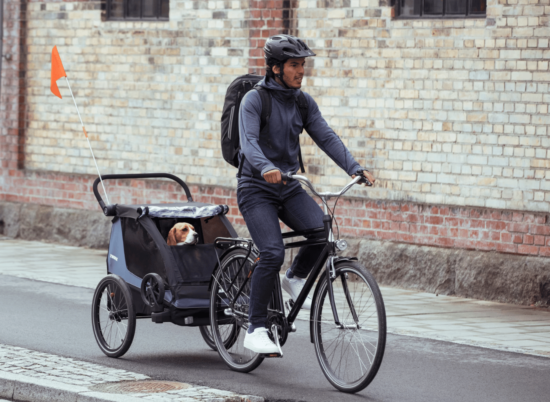 Thule Courier Dog Trailer Kit 6