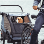 Thule Courier Dog Trailer Kit 7