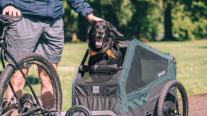 730085_4_036de0135b 730085_4_036de0135b