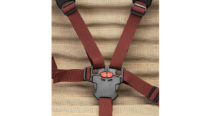 Dutch delight 6 Dutch delight 6