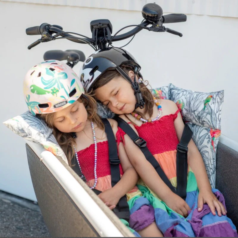 Bakfietskussen Parrot met kinderen