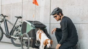 thule-bexey-L-hondenkar-fietskar.nl-5 thule-bexey-L-hondenkar-fietskar.nl-5