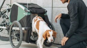 thule-bexey-L-hondenkar-fietskar.nl-5 thule-bexey-L-hondenkar-fietskar.nl-5