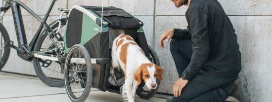 thule-bexey-L-hondenkar-fietskar.nl-5 thule-bexey-L-hondenkar-fietskar.nl-5