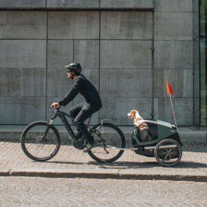 thule-bexey-L-hondenkar-fietskar.nl-6