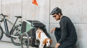 thule-bexey-m-hondenkar-fietskar.nl-5 thule-bexey-m-hondenkar-fietskar.nl-5