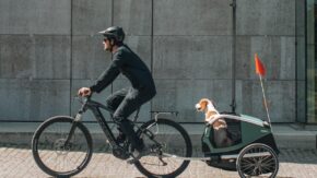 thule-bexey-m-hondenkar-fietskar.nl-6 thule-bexey-m-hondenkar-fietskar.nl-6