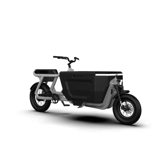 stoer-cargoX-bakfiets-Nardo-Grey2